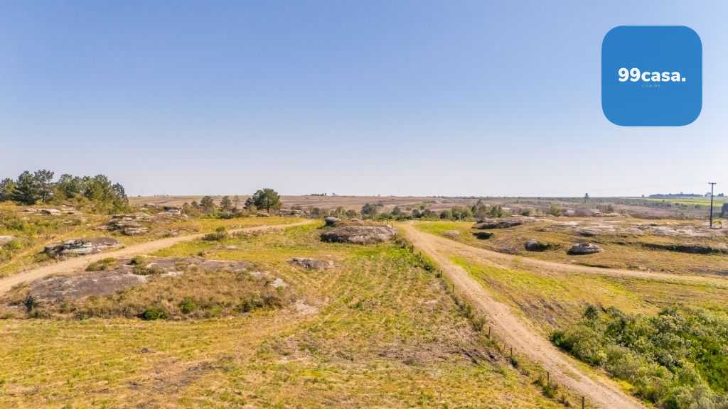 Terreno à venda, 20000 m  - São Luiz do Purunã - Balsa Nova PR
