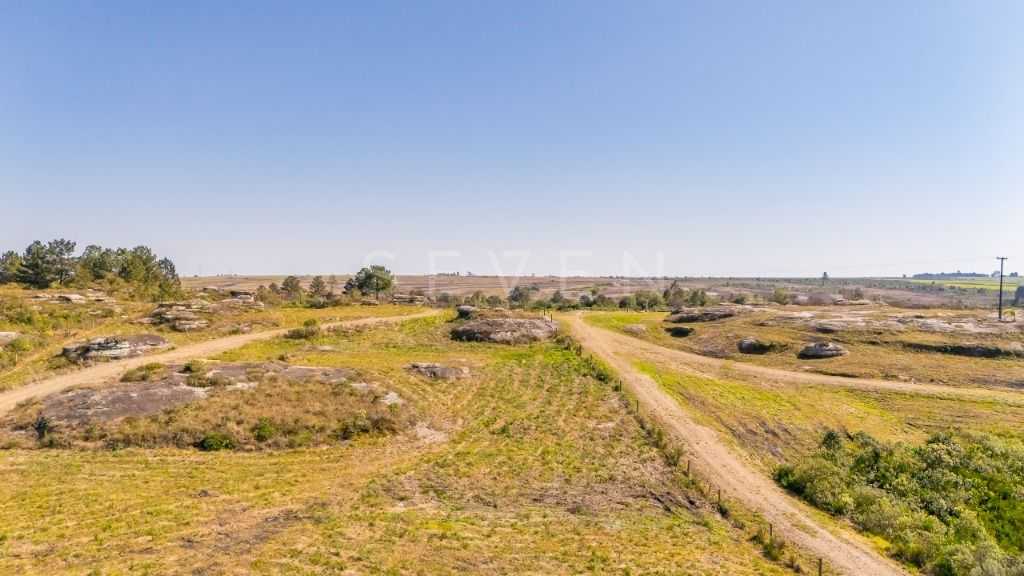 Terreno à venda, 20000 m  - São Luiz do Purunã - Balsa Nova PR