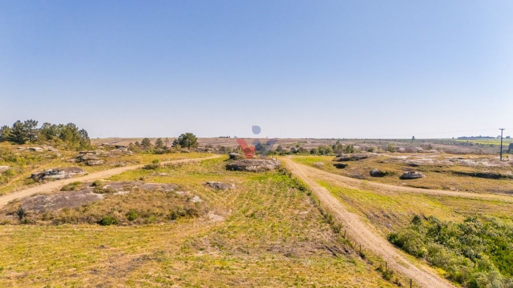 Terreno à venda, 20000 m  - São Luiz do Purunã - Balsa Nova PR