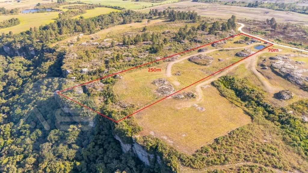 Terreno à venda, 20000 m  - São Luiz do Purunã - Balsa Nova PR