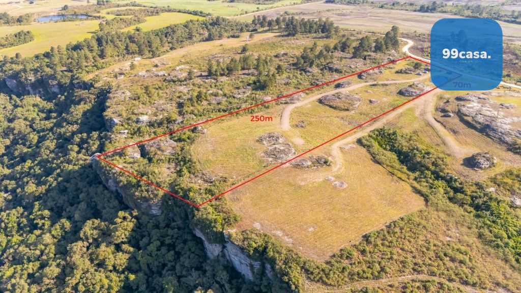 Terreno à venda, 20000 m  - São Luiz do Purunã - Balsa Nova PR