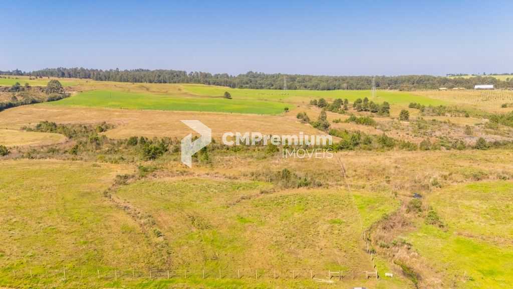 Terreno à venda, 20015 m  em São Luiz do Purunã - Balsa Nova PR