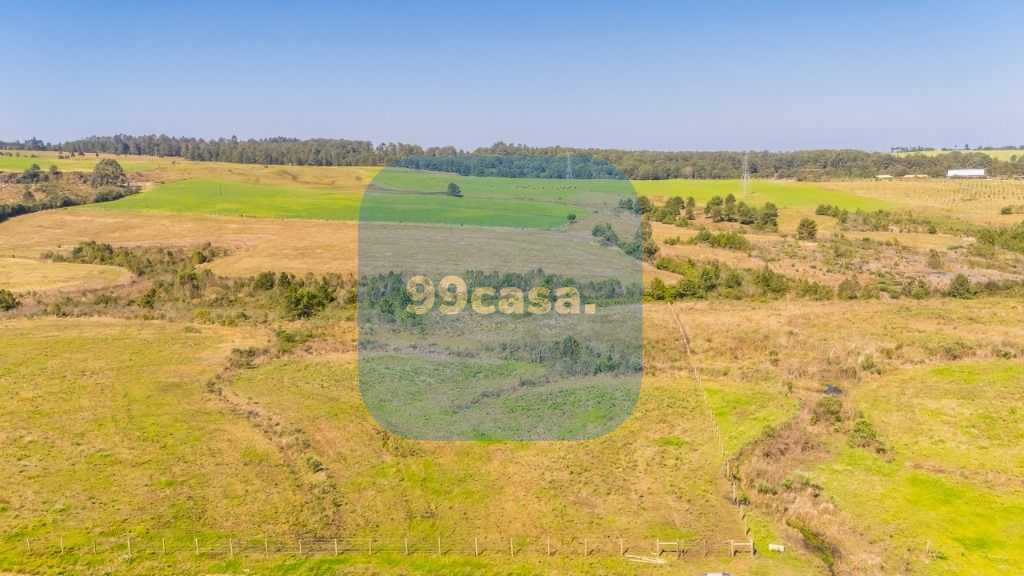 Terreno à venda, 20015 m  em São Luiz do Purunã - Balsa Nova PR