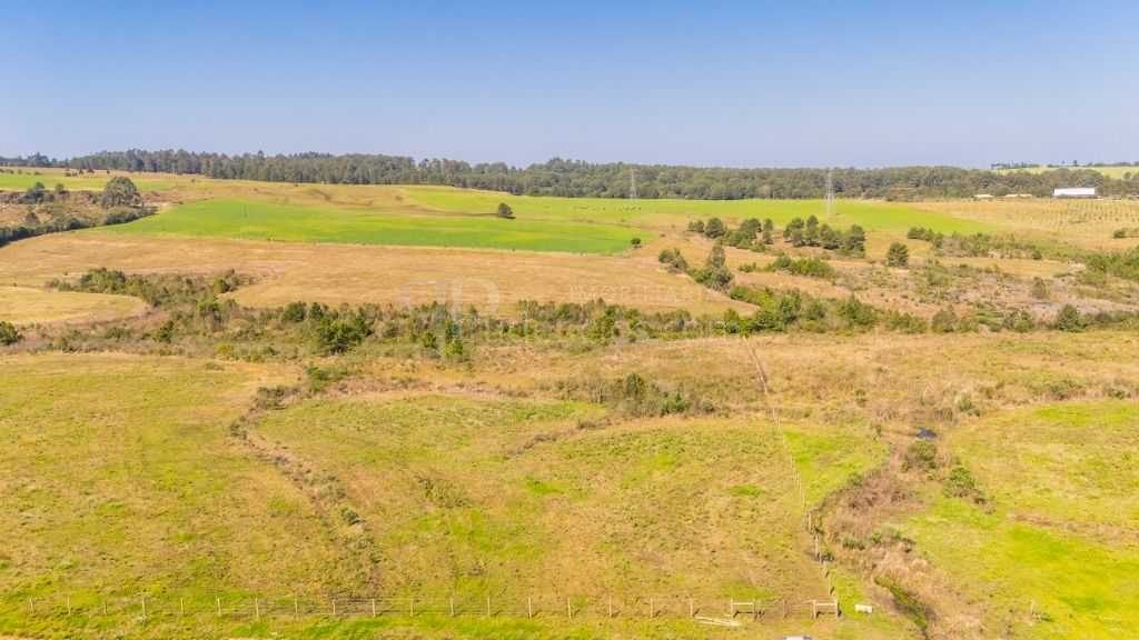 Terreno à venda, 20015 m  em São Luiz do Purunã - Balsa Nova PR