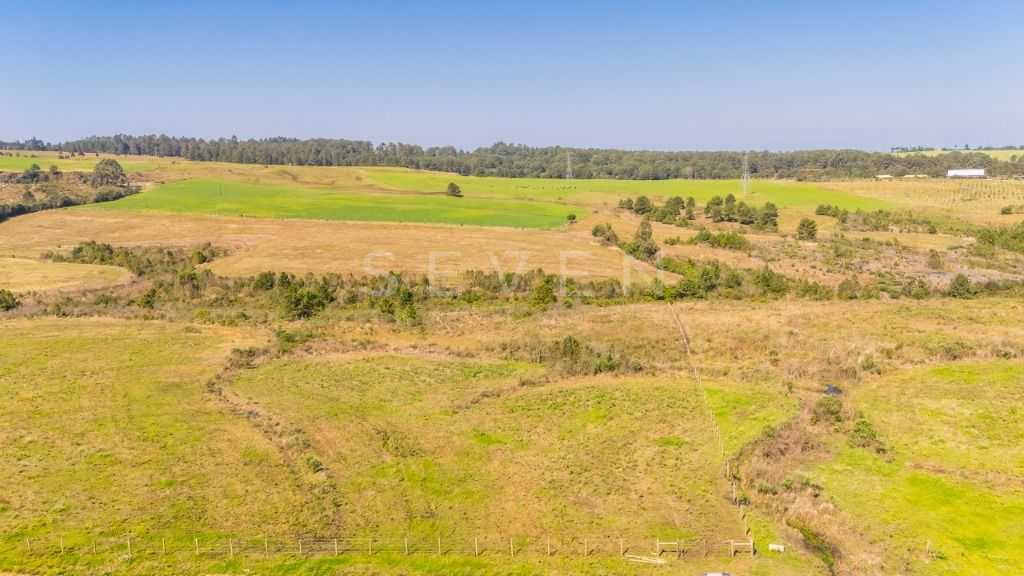 Terreno à venda, 20015 m  em São Luiz do Purunã - Balsa Nova PR