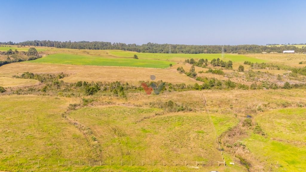 Terreno à venda, 20015 m  em São Luiz do Purunã - Balsa Nova PR