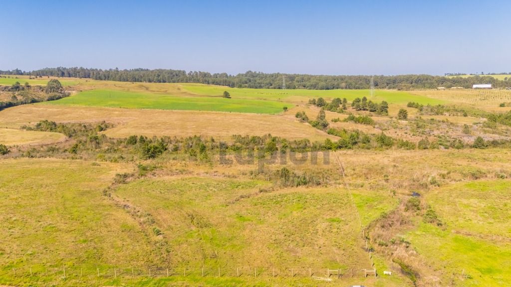 Terreno à venda, 20830 m  em São Luiz do Puruna - Balsa Nova PR