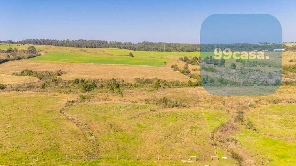 Terreno à venda, 20830 m  em São Luiz do Puruna - Balsa Nova PR