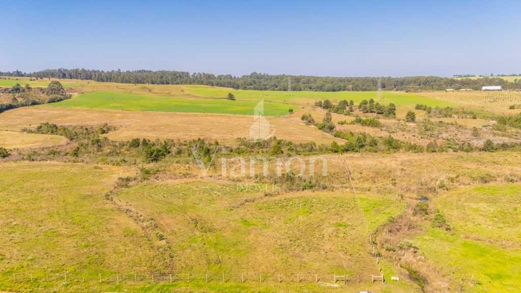 Terreno à venda, 20830 m  em São Luiz do Puruna - Balsa Nova PR