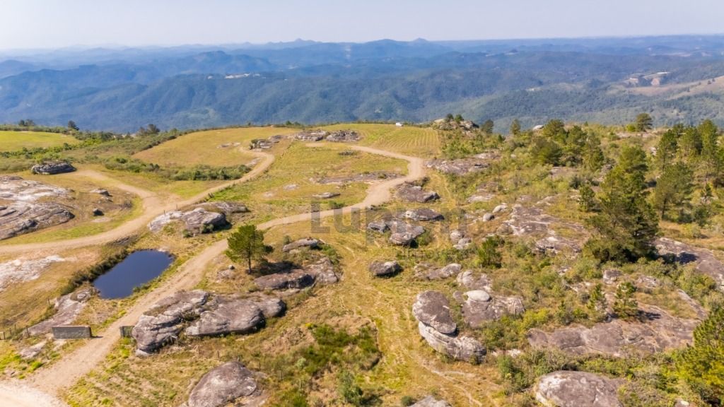 Terreno à venda, 20000 m  - São Luiz do Purunã - Balsa Nova PR