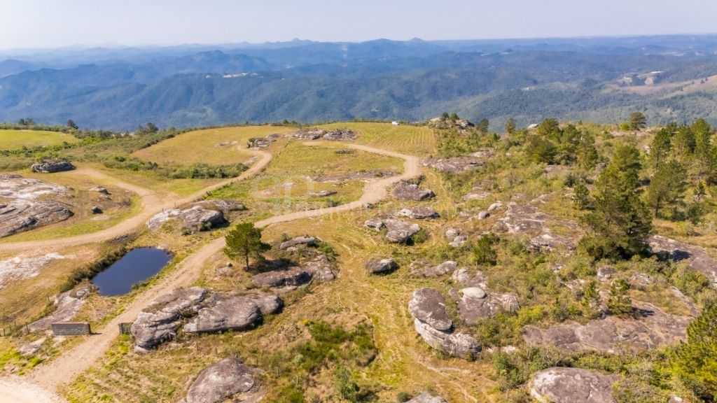 Terreno à venda, 20000 m  - São Luiz do Purunã - Balsa Nova PR