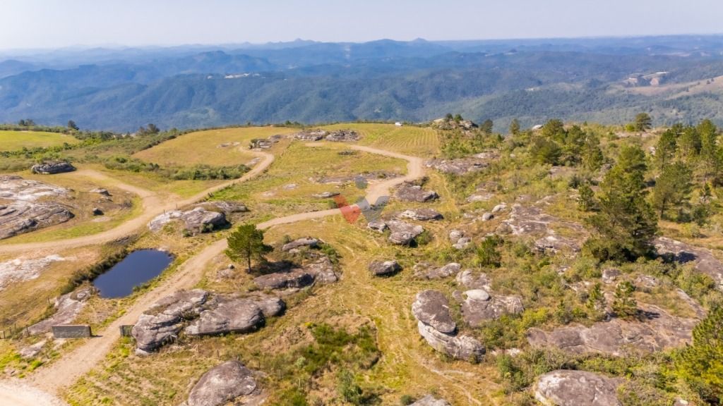 Terreno à venda, 20000 m  - São Luiz do Purunã - Balsa Nova PR
