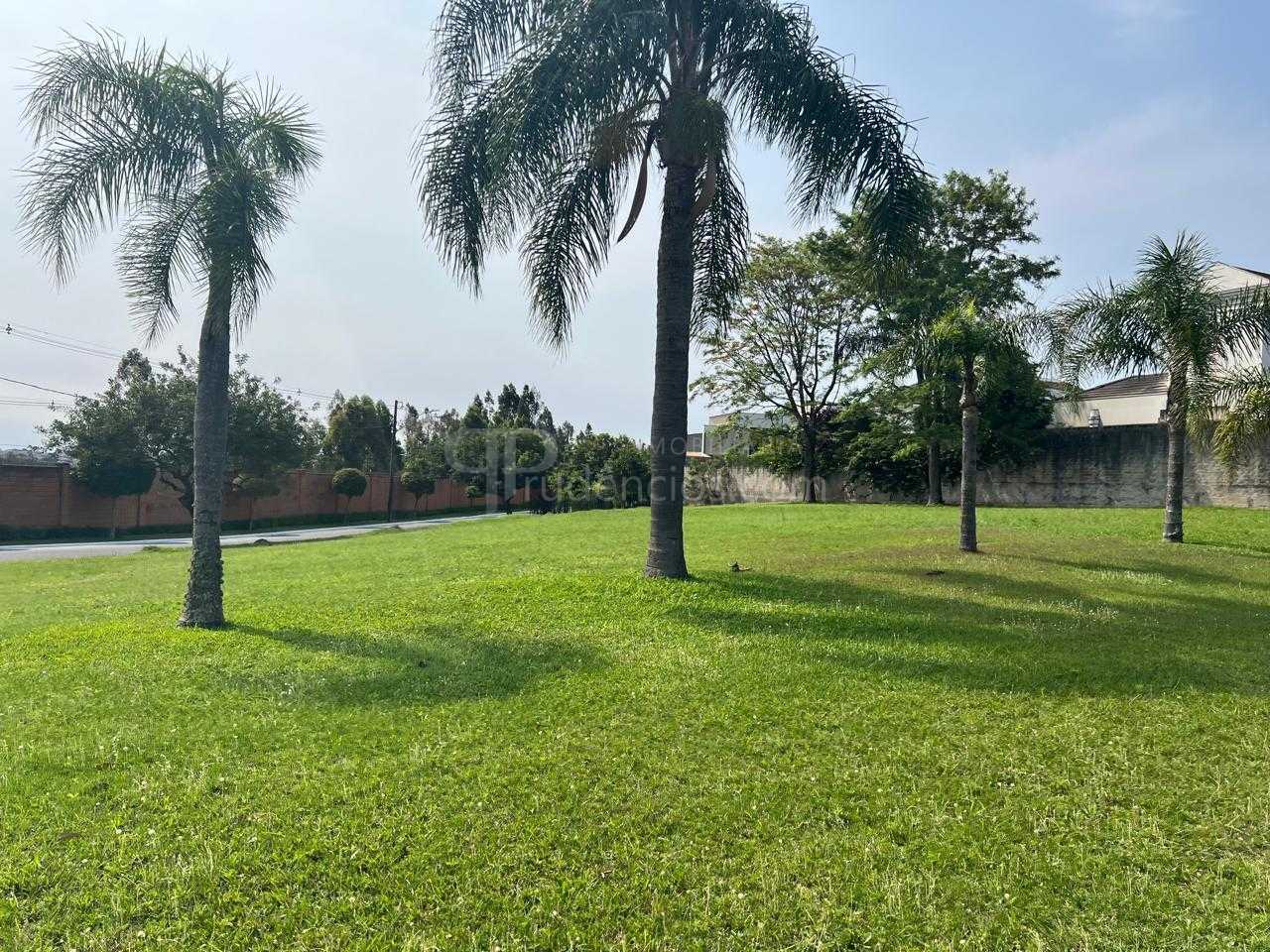 Terreno de esquina à venda no Alphaville Graciosa, PINHAIS - PR