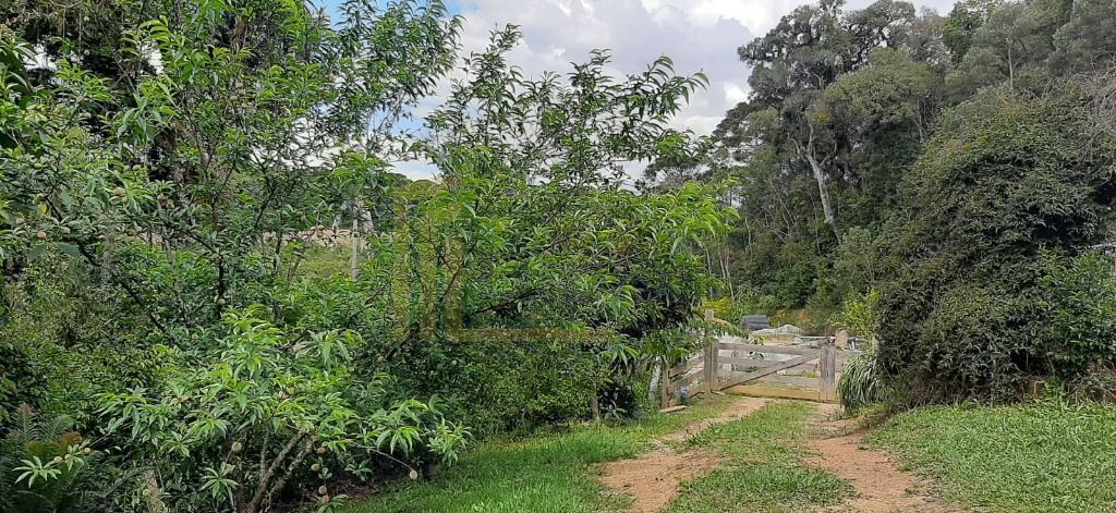 Chácara com 4 dormitórios à venda, 33000 m² por R$ 1.490.000,0...