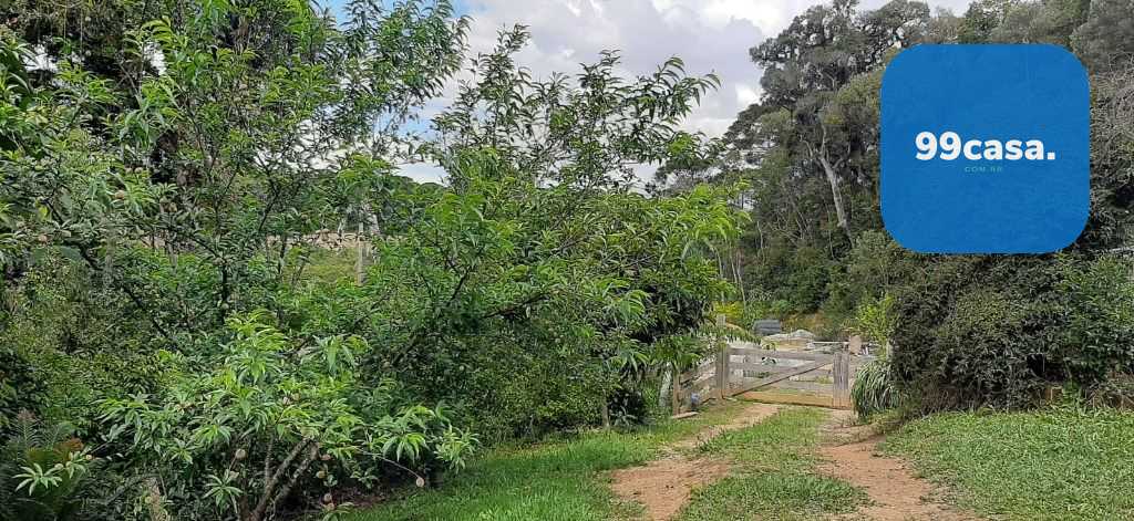 Chácara com 4 dormitórios à venda, 33000 m² por R$ 1.490.000,0...