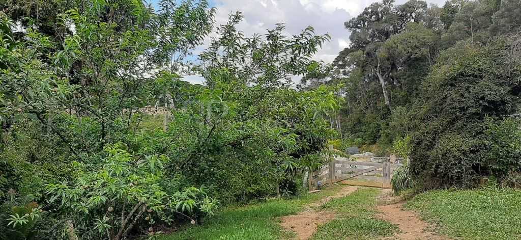 Chácara com 4 dormitórios à venda, 33000 m² por R$ 1.490.000,0...