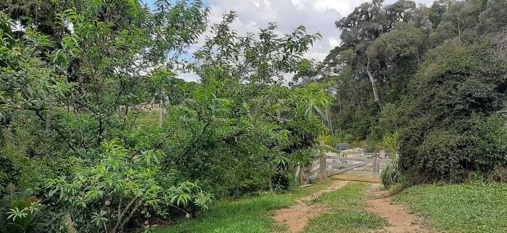 Chácara com 4 dormitórios à venda, 33000 m² por R$ 1.490.000,0...