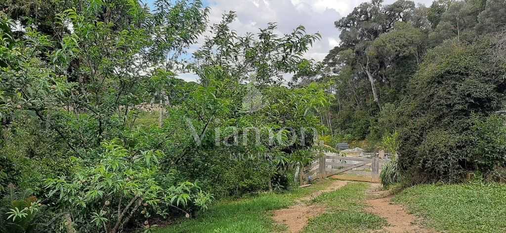 Chácara com 4 dormitórios à venda, 33000 m² por R$ 1.490.000,0...