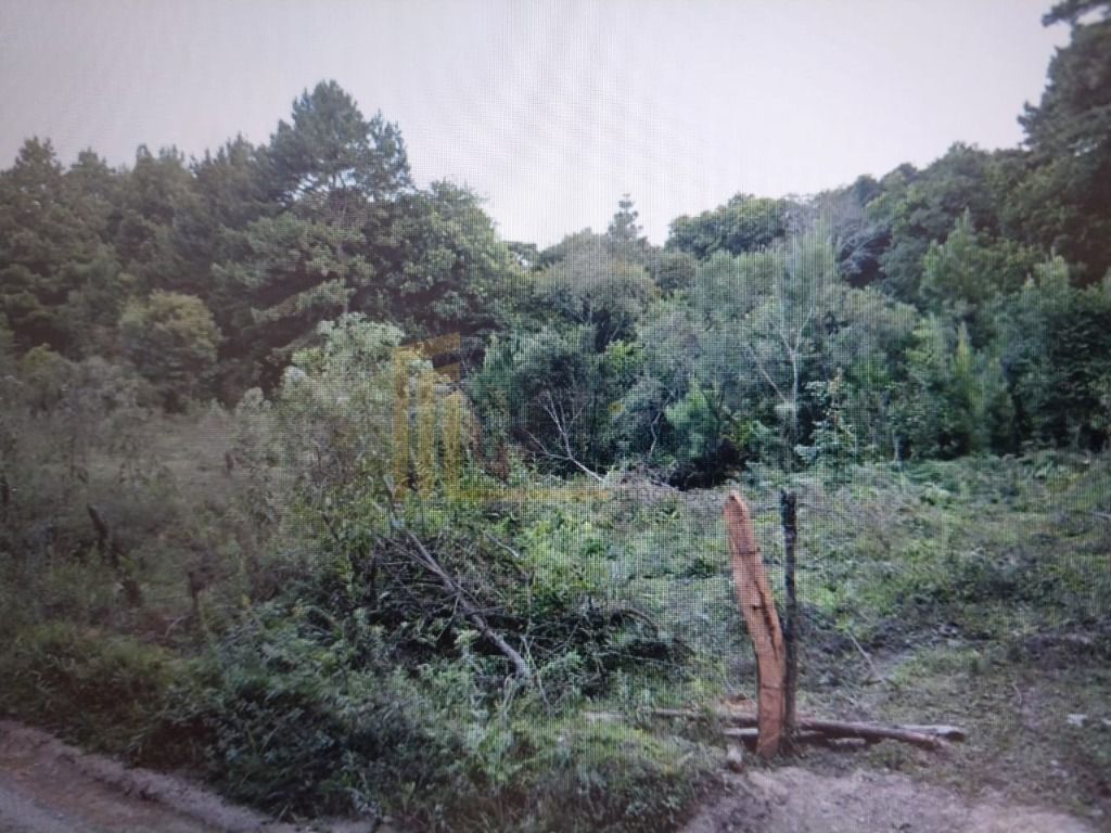 Chácara à venda, 14500 m² por R$ 1.500.000 - São Miguel - Almi...