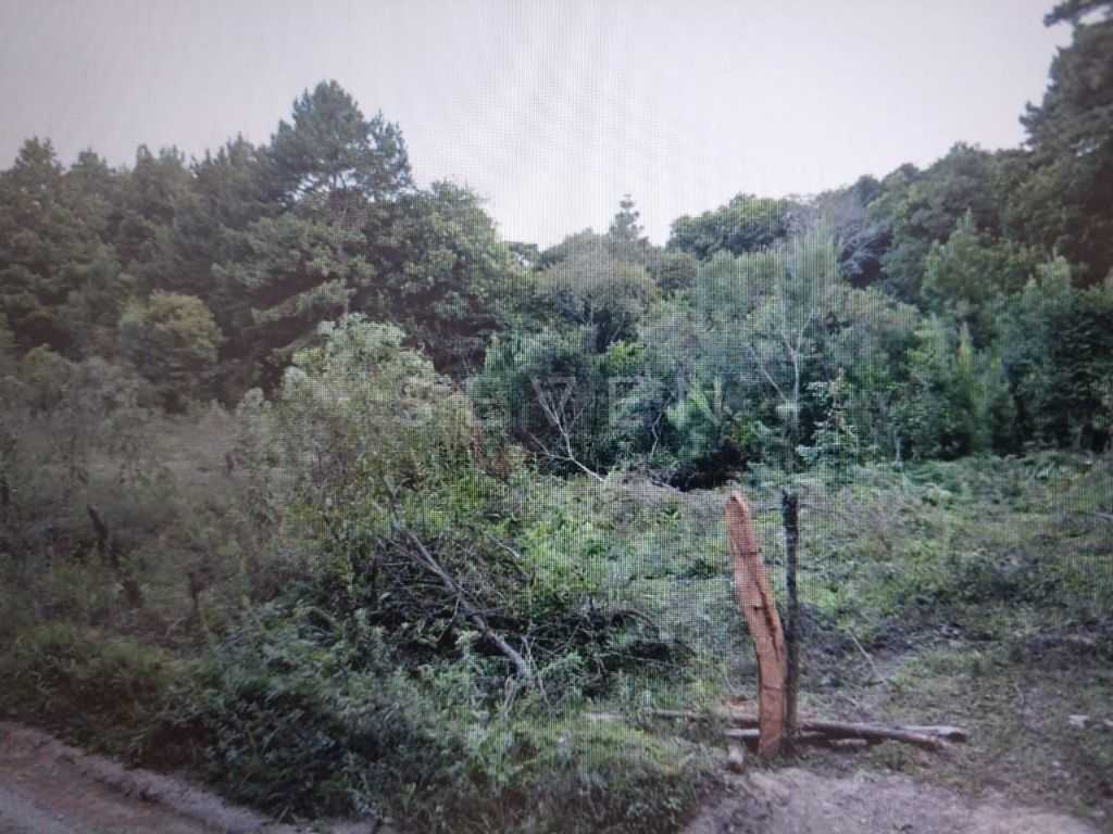 Chácara à venda, 14500 m² por R$ 1.500.000 - São Miguel - Almi...