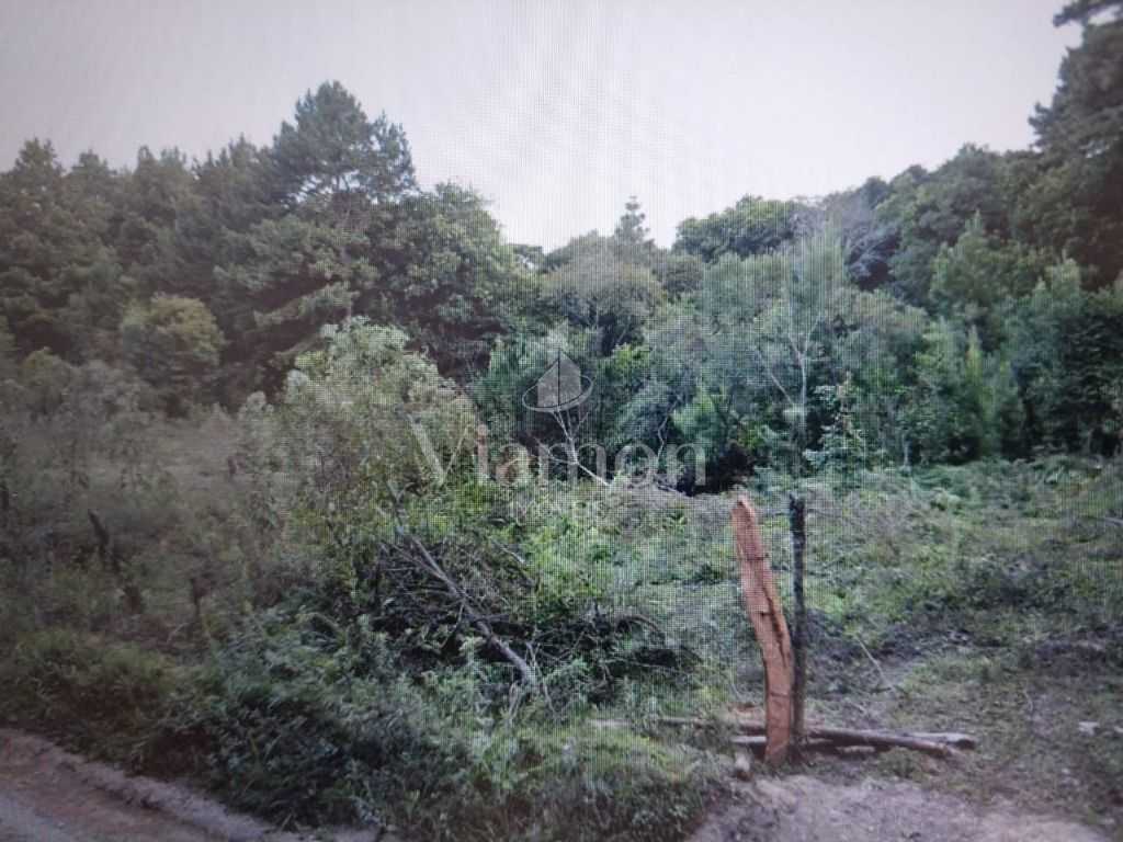 Chácara à venda, 14500 m² por R$ 1.500.000 - São Miguel - Almi...