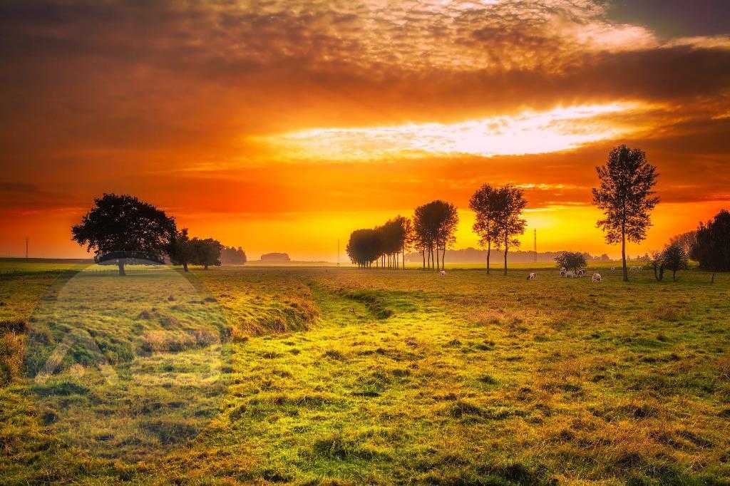 Fazenda com 5 dormitórios à venda,117960000.00 m , FOZ DO IGUA...