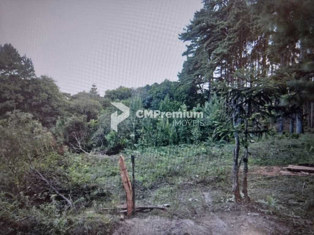 Chácara à venda, 14500 m² por R$ 1.500.000 - São Miguel - Almi...