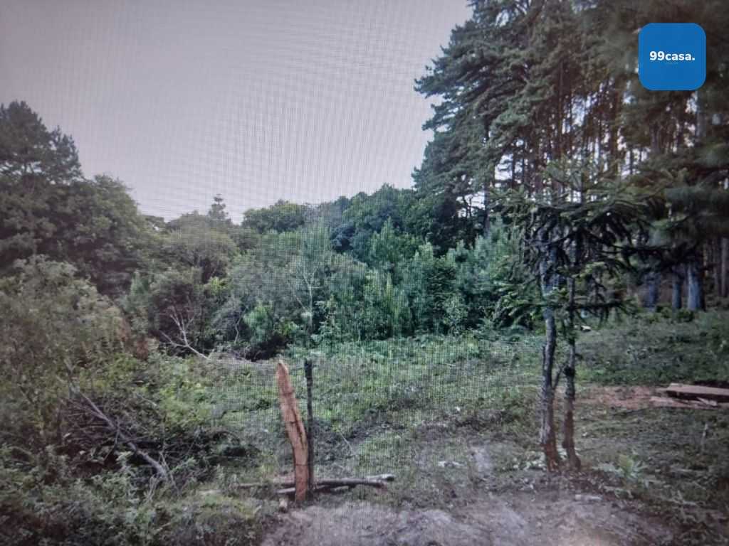 Chácara à venda, 14500 m² por R$ 1.700.000 - São Miguel - Almi...