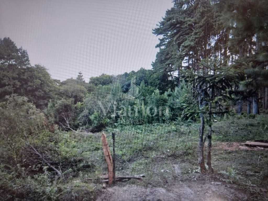 Chácara à venda, 14500 m² por R$ 1.500.000 - São Miguel - Almi...