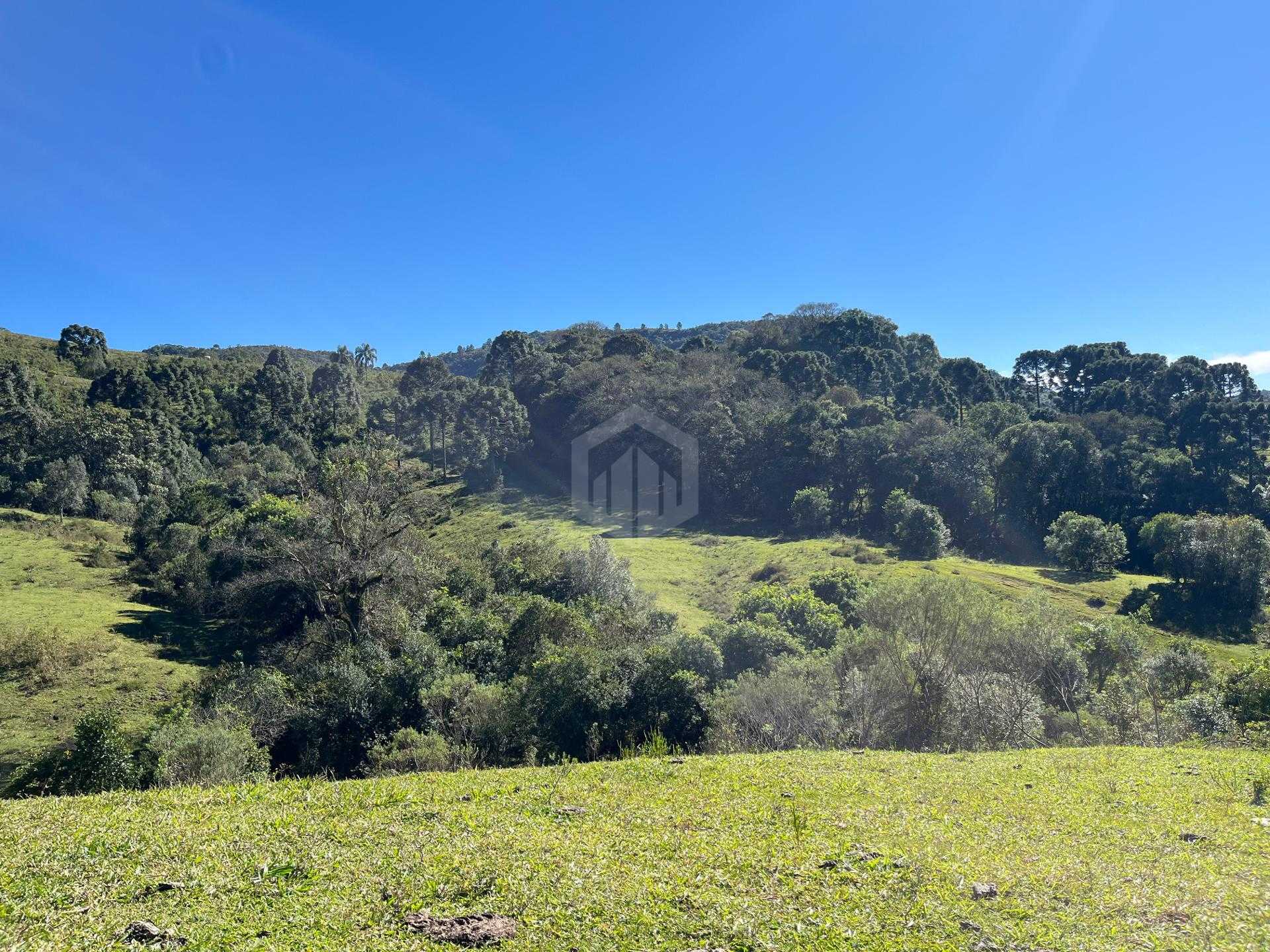 Terreno à venda, 20.000m  - R  1.400.000,00 - Balsa Nova, SAO ...
