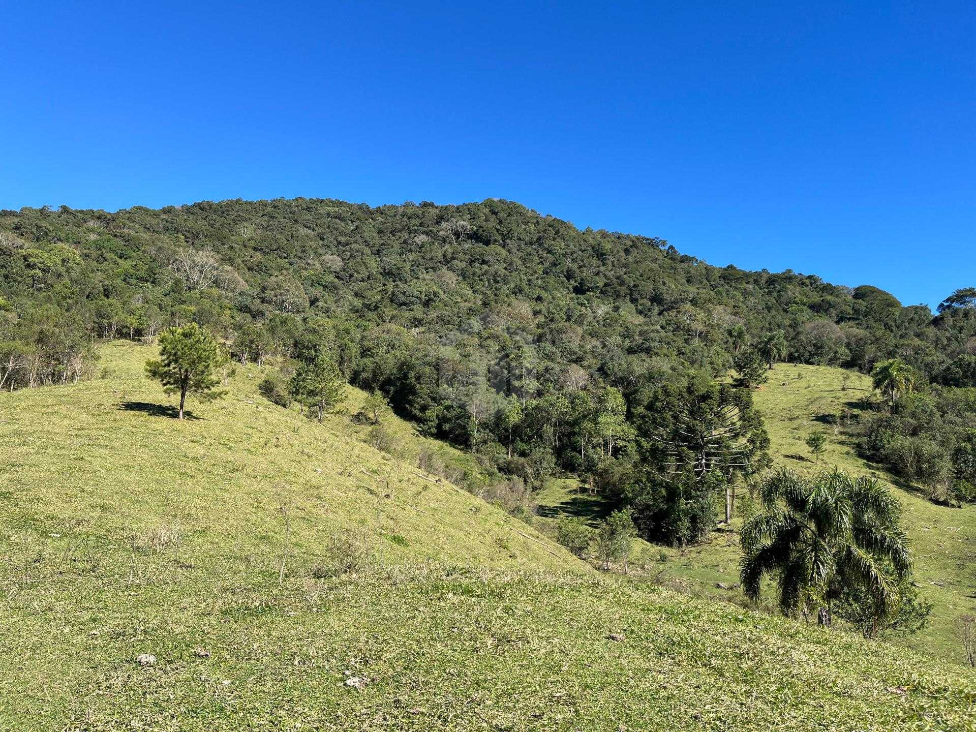 Terreno à venda, 20.000m  - R  1.400.000,00 - Balsa Nova, SAO ...