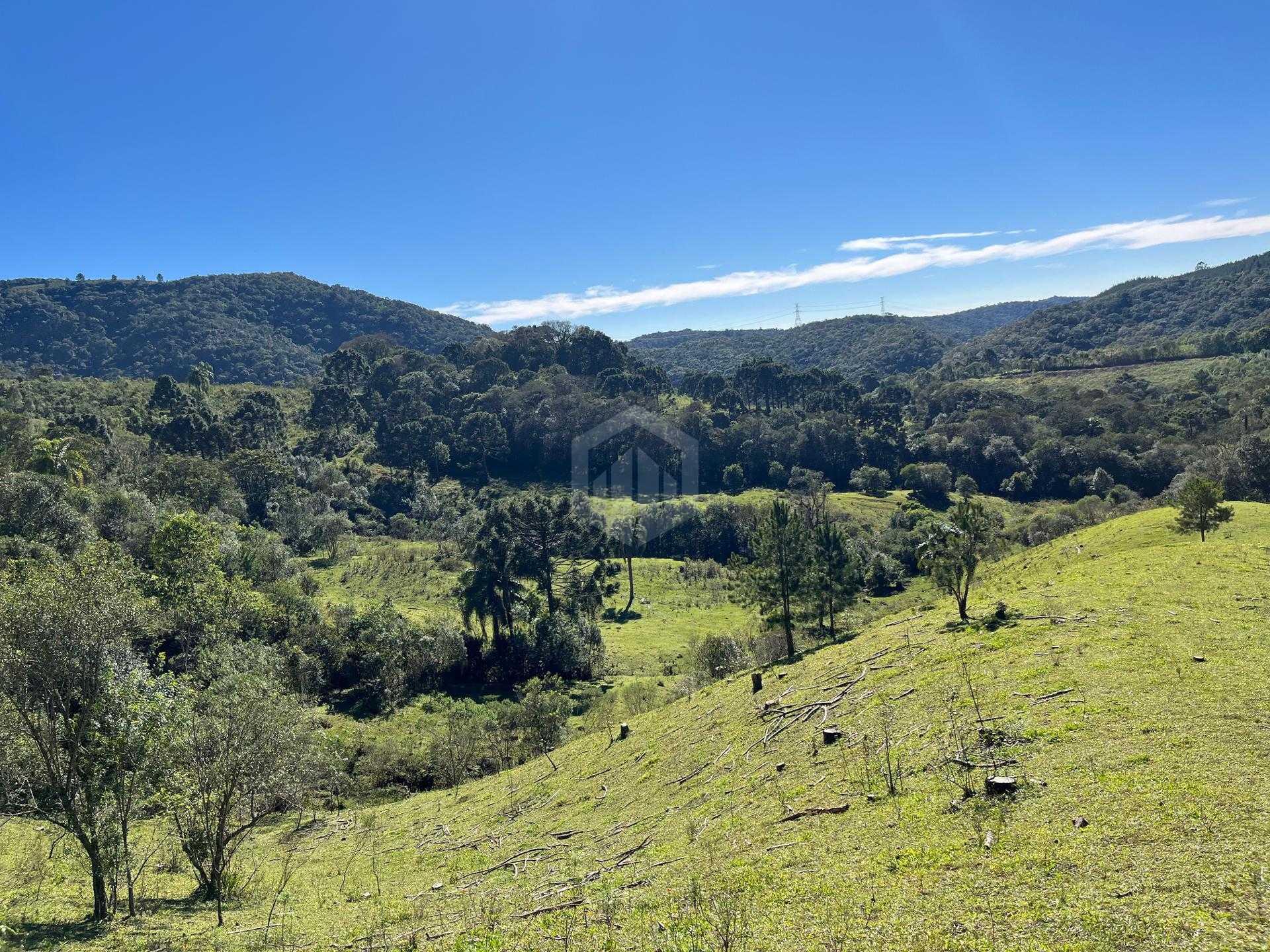 Terreno à venda, 20.000m  - R  1.400.000,00 - Balsa Nova, SAO ...