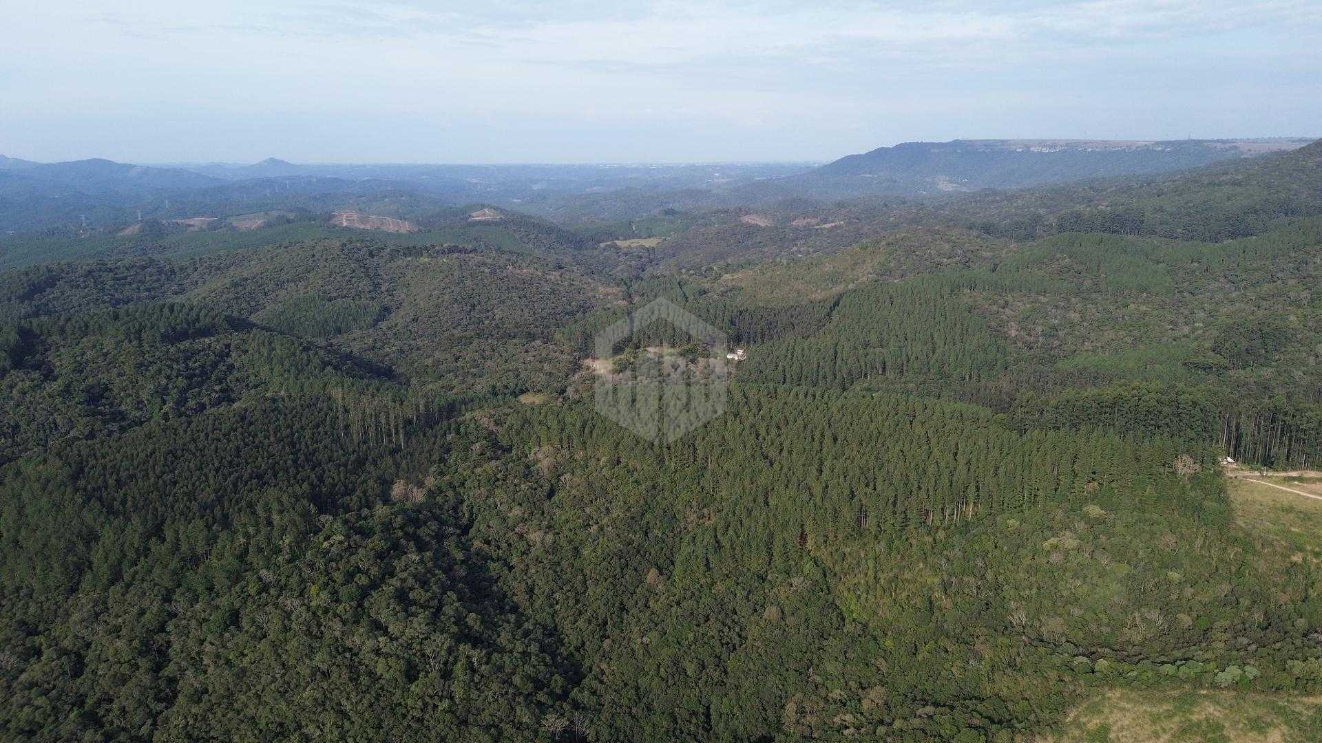 Terrenos à venda  - SAO LUIZ DO PURUNA - PR