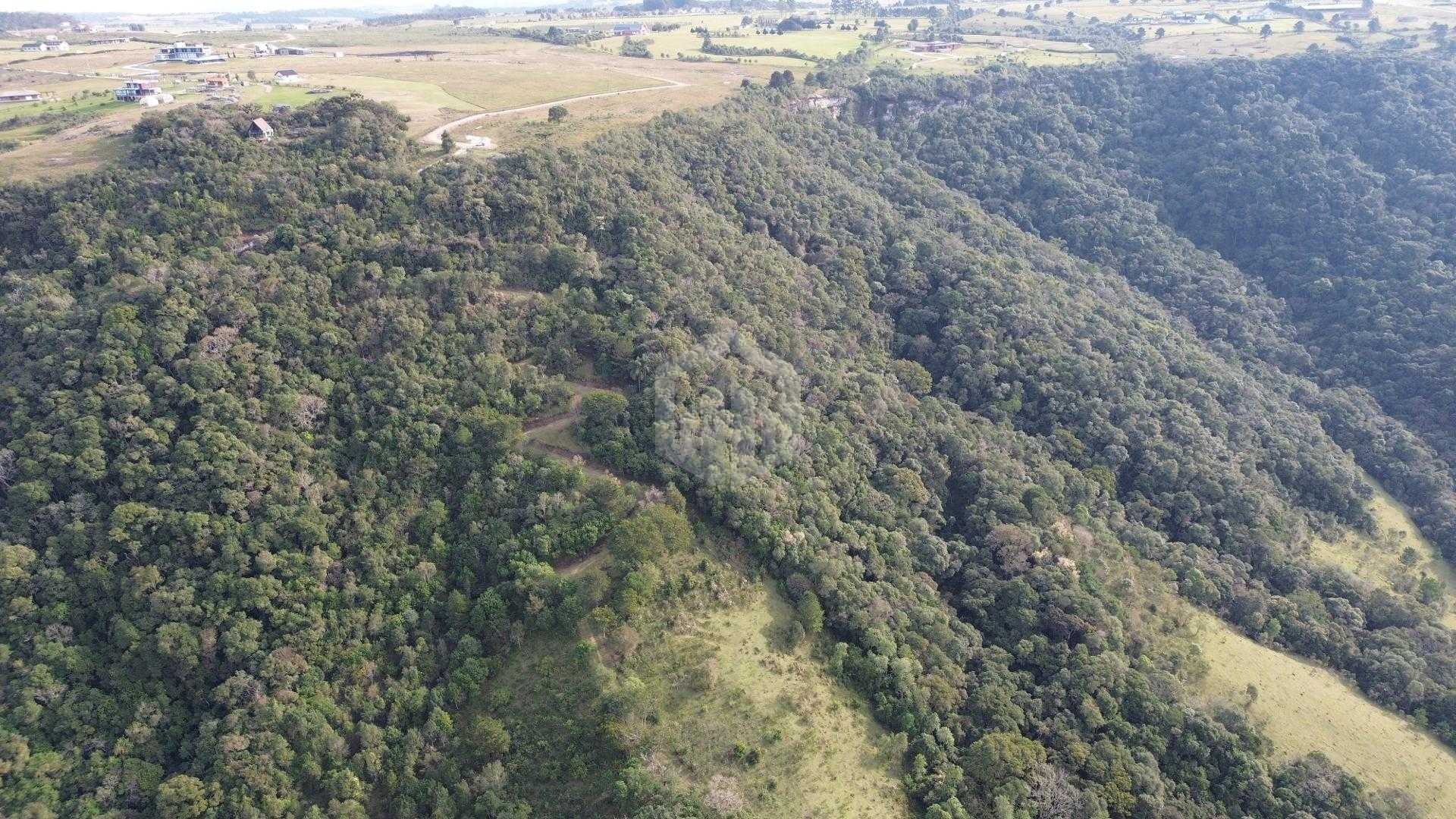 Terrenos à venda  - SAO LUIZ DO PURUNA - PR