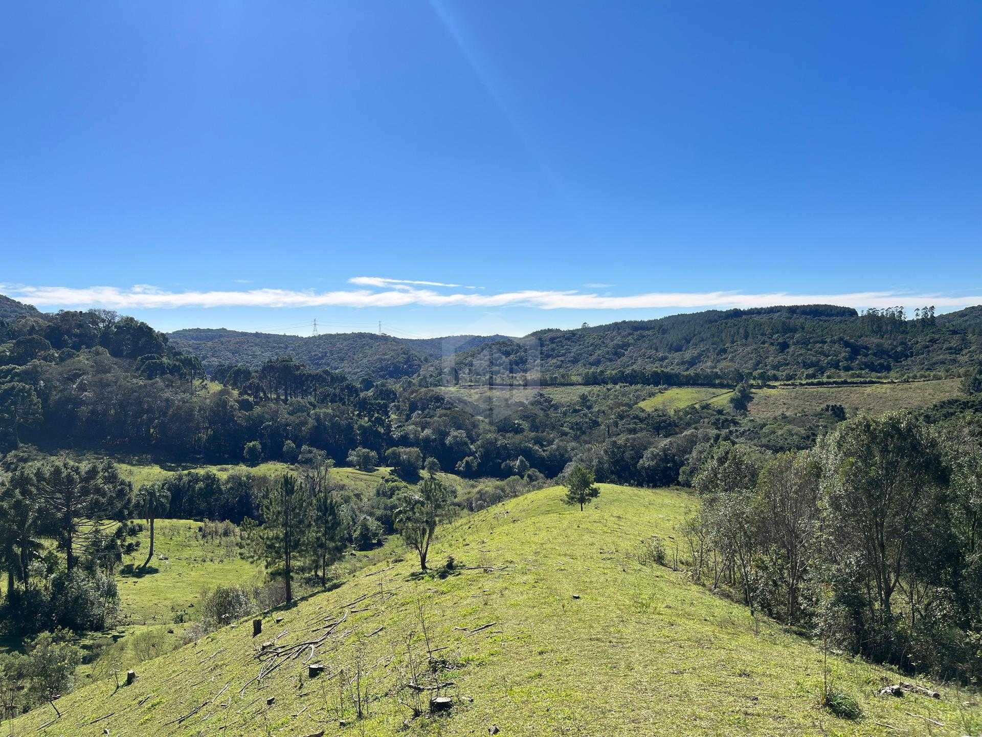 Terreno para Venda BALSA NOVA - PR