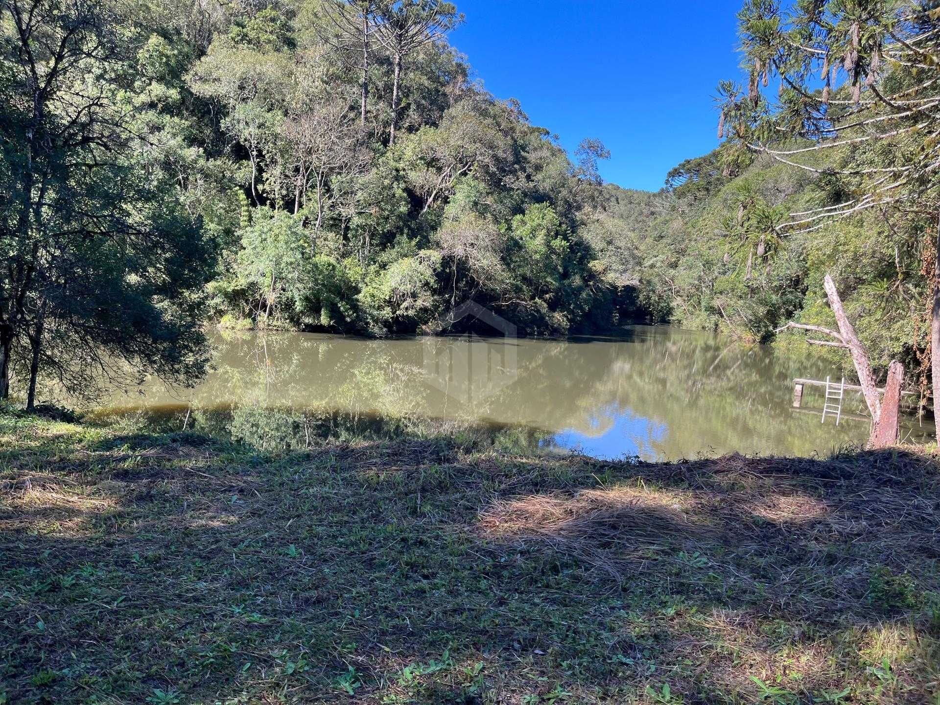 Terrenos à venda  - SAO LUIZ DO PURUNA - PR