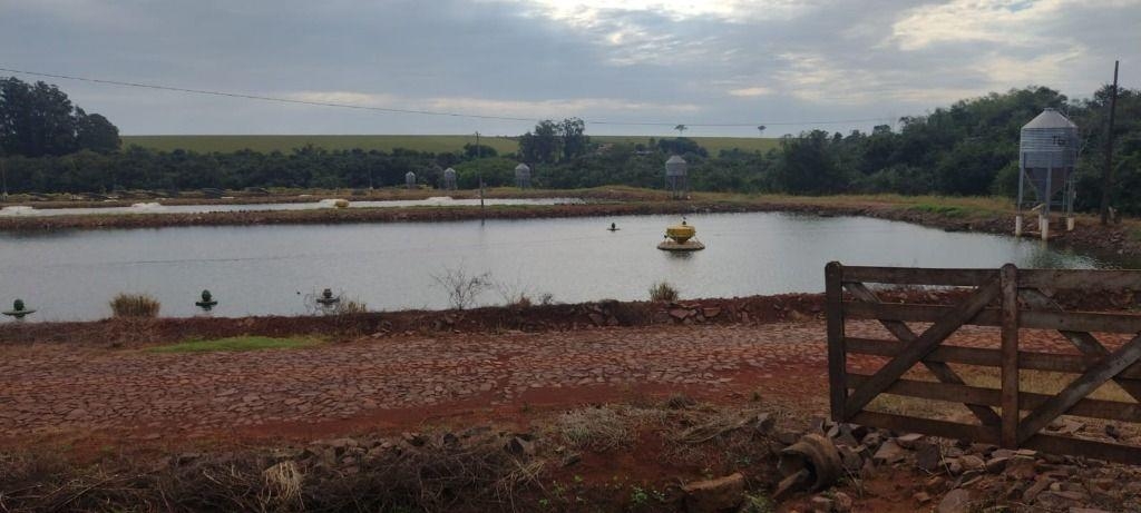 Fazenda de Piscicultura