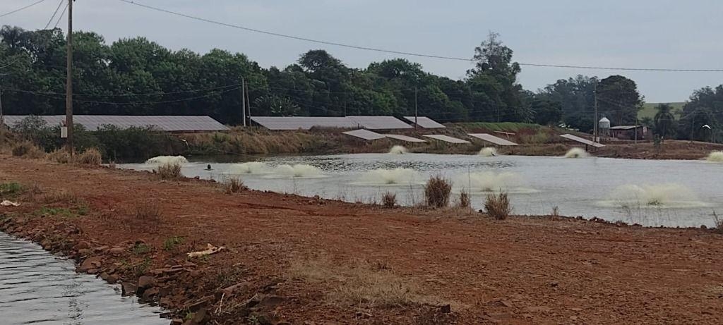 Fazenda de Piscicultura