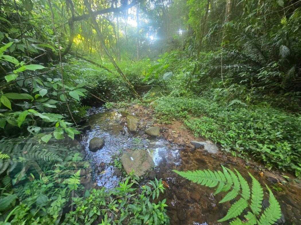 Terreno à venda, 9970 m² por R$ 1.540.000,00 - Tanguá - Almira...