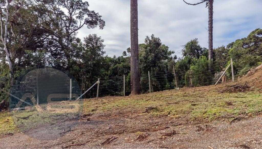 Terreno para venda, Palmitalzinho, Quatro Barras, 27