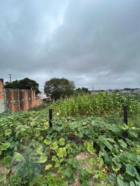 TERRENO à venda por R$ 250.000,00 no bairro Roseira de São Seb...