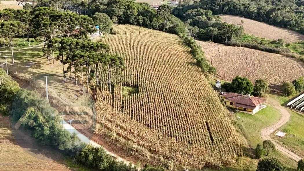 Chácara no Caminho do Vinho