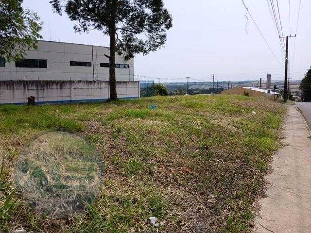 Terreno à venda, 934 m² por R$ 550.000,00 - Jardim Carvalho - ...