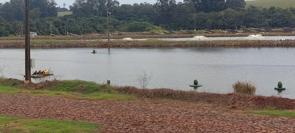Fazenda de Piscicultura