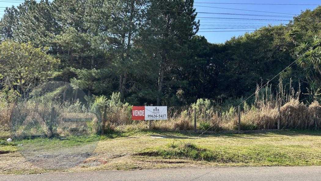 Terreno APA - Passaúna