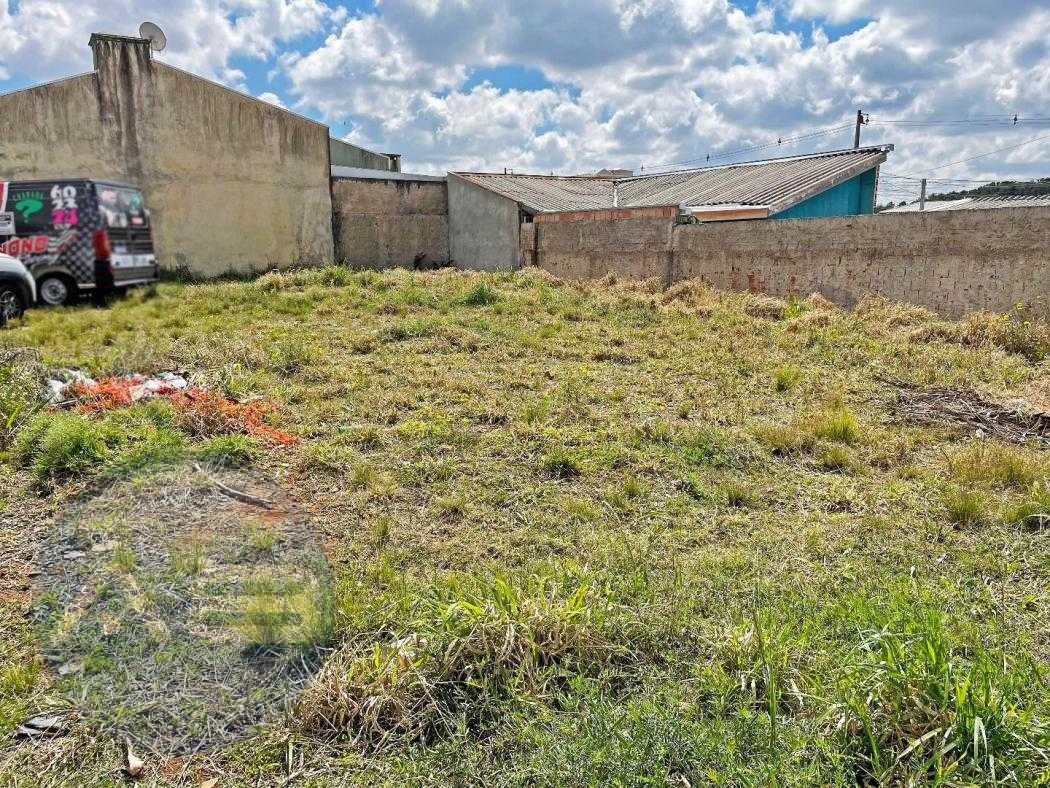 Terreno à venda, 324 m² por R$ 380.000,00 - Eucaliptos - Fazen...