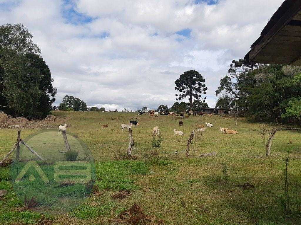 Chácara à venda, 43000 m² por R$ 990.000,00 - Centro - Araucár...