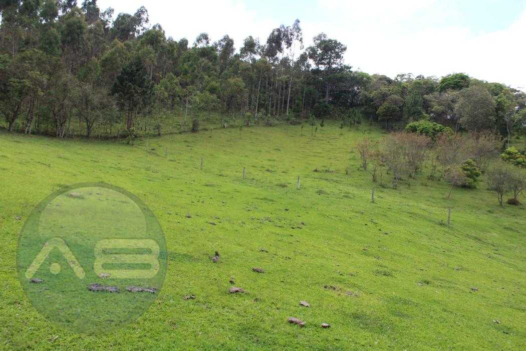 Chácara à venda, 260.300 m² por R$ 2.750.000,00 - Campo Magro/PR