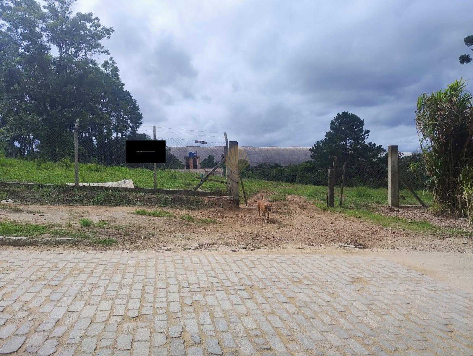 Terreno à venda, 5.000 m2, ALTO BOQUEIRÃO, CURITIBA - PR