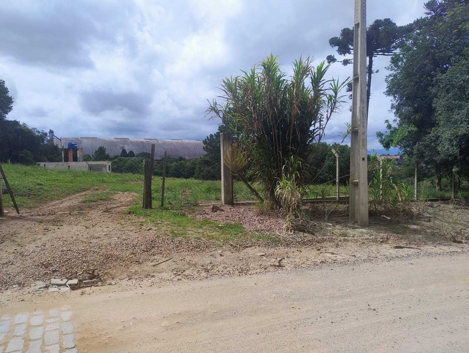 Terreno à venda, 5.000 m2, ALTO BOQUEIRÃO, CURITIBA - PR